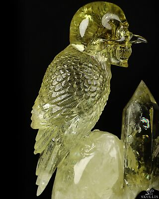 #ad GEMSTONE 9.7quot; Citrine Carved Crystal Skull amp; Bird Crystal Healing $1869.00