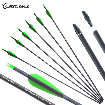#ad Archery Pure Carbon Arrows Spine 300 400 Screw Tips Recurve Compound Bow Hunting $19.09
