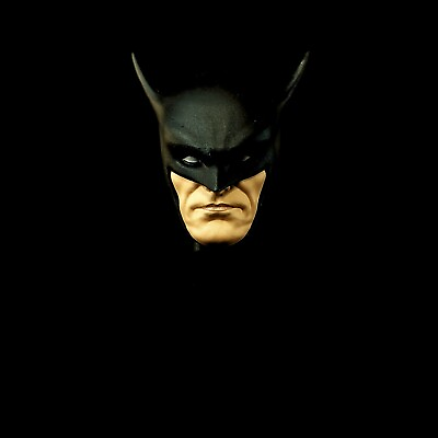 #ad Painted First Appearance Batman 3D printed head 7quot; Headsculpt Mcfarlane $40.00