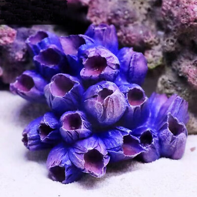 #ad Artificial Resin Shell Coral Reef Aquarium Ornaments Landscaping Fish Tank Decor $10.99