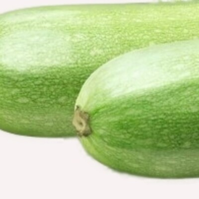 #ad Italian Squash Zucchini Seeds NON GMO Heirloom Fresh Garden Seeds $120.00