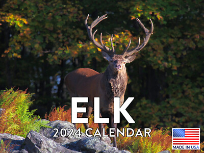 #ad Elk Animal Deer 2024 Wall Calendar $14.98
