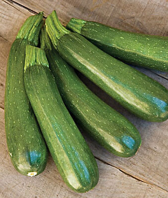#ad #ad Zucchini Dark Green Squash NON GMO Heirloom 25 Zucchini Seeds Vegetable Seed $1.99