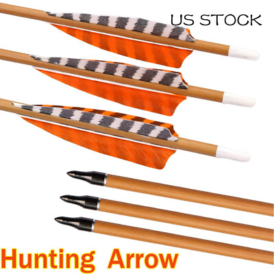 SP600 Carbon Arrows 30#x27; with Turkey Feather for Archery Target Hunting Shooting $42.74