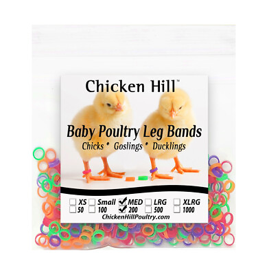 #ad Chick Leg Bands 4 colors 1 4quot; Size 4 Poultry Chickens Ducks Geese Game Birds $8.49
