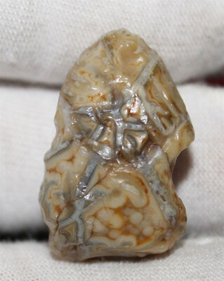 #ad 8.7g Rare Mongolia Gobi Gangue Vein stone Agate Rough Minerals Specimen 81235 $14.25