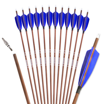 #ad 6 12pc Pure Carbon Arrows SP340 400 500 600 Shaft Feathers Compound Recurve bow $31.61