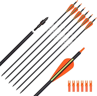 #ad #ad Carbon Arrow Hunting Arrows with 100 Grain Tip and Removable Tips for Archery Co $35.83