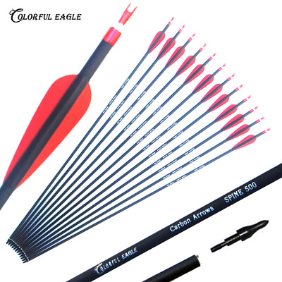 Archery 28 31quot;Carbon Arrow Practice Hunting Arrows With Removable Tips for Bows GBP 8.49