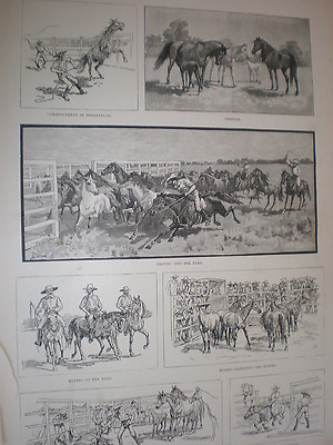 #ad Australia A South Australian Horse Breeding Station 1887 old prints GBP 9.99