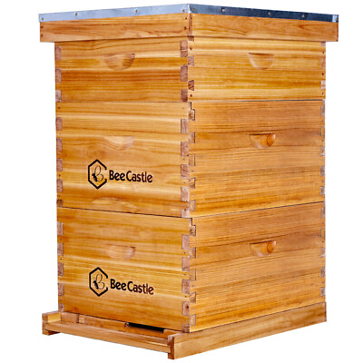 #ad The complete 10 frame of beehive includes 2 deep beehives and 1 medium beehive $175.47