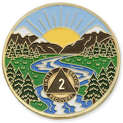 #ad #ad 2 Year Winding River Gold Plated AA Recovery Medallion Chip Token $29.35