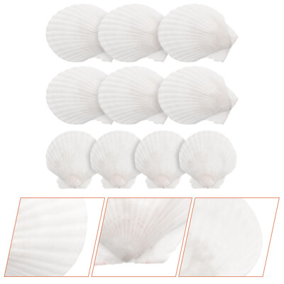 #ad Seashell Crafts for Home Decor and Christmas $11.75