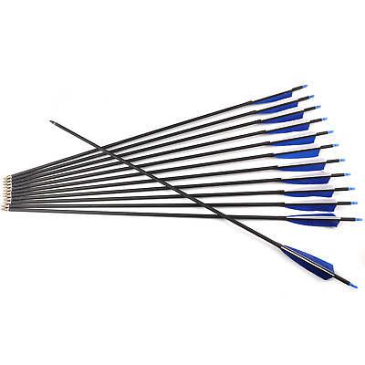 6Pcs Carbon Arrow 30quot; Spine600 7.8mm Blue Turkey Feather Recurvebow Archery Hunt $24.96