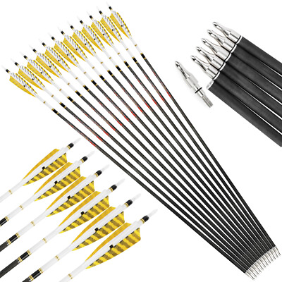 6 12 Archery Pure Carbon Arrows 31quot; Shaft SP250 600 Feathers Bow Hunting Target $59.21