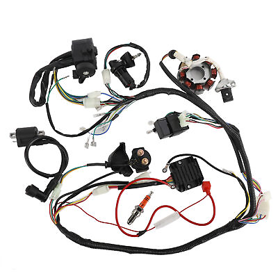 #ad AuInLand Complete Electrics Stator Coil CDI Wiring Harness Kit QUAD 150cc 300cc $111.00