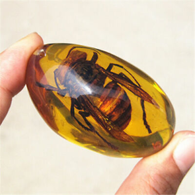 #ad Beautiful Amber Hornet Fossil Insects Manual Polishing $7.99