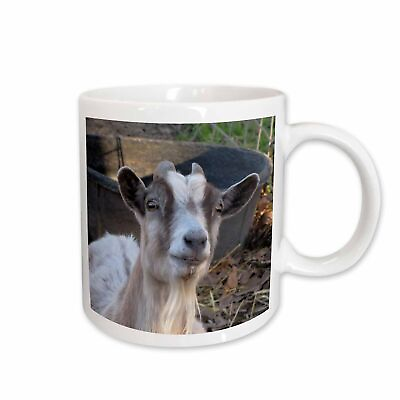 #ad 3dRose Grey and white goat Mug $17.99