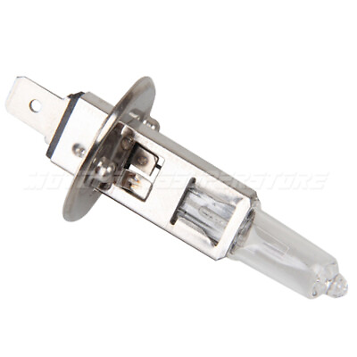 #ad Universal DC 12V 55W Headlight H1 Light Bulb White Xenon Halogen Lamp Bulbs $5.95